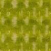 Apple Green