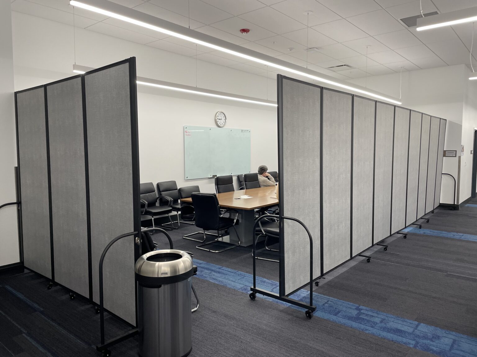 Need Privacy Fast? See How the Full Motion Room Divider Instantly ...